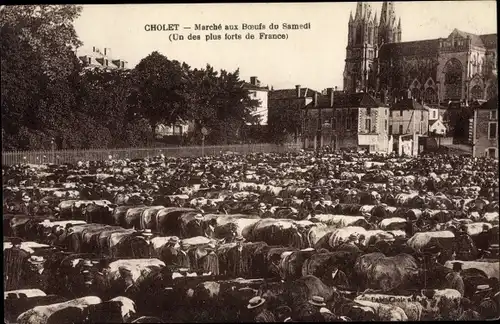 Ak Cholet Maine et Loire, Marché auy Boeufs du Samedi