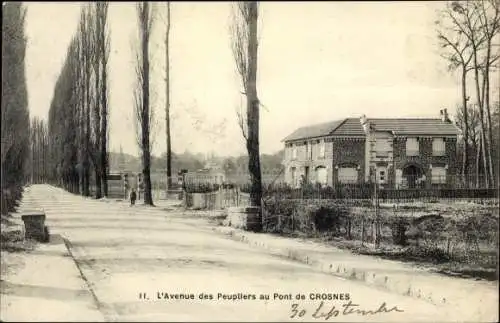 Ak Crosnes Essonne, L'Avenue des Peupliers au Pont