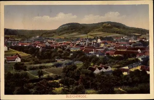 Ak Bleicherode im Kreis Nordhausen, Panorama