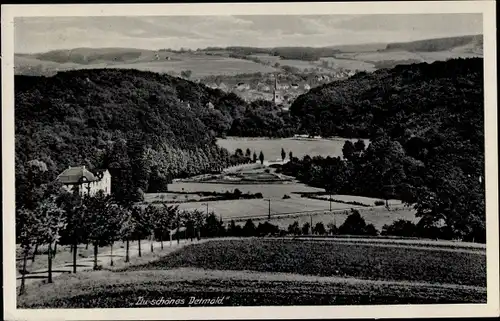 Ak Detmold in Nordrhein Westfalen, Totale