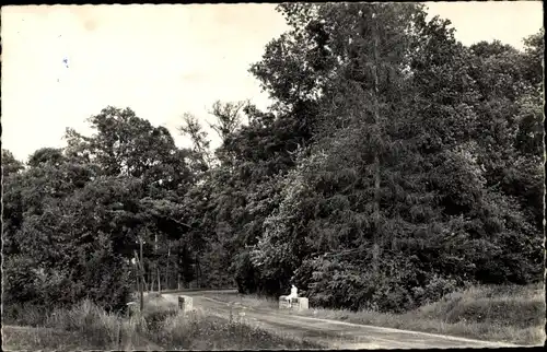 Ak Chambon la Forêt Loiret, Le Pont de Bois