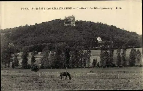 Ak Saint Rémy les Chevreuse Yvelines, Chateau du Montgomery