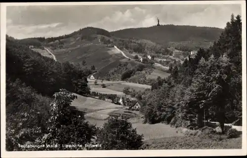 Ak Detmold am Teutoburger Wald, Blick zum Hermannsdenkmal, Lippsche Schweiz
