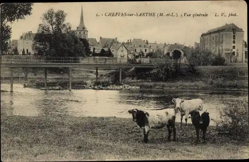 Ak Cheffes sur Sarthe Maine et Loire, Vue generale