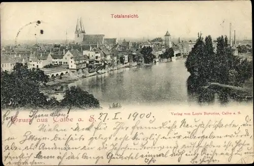 Ak Calbe an der Saale, Panorama
