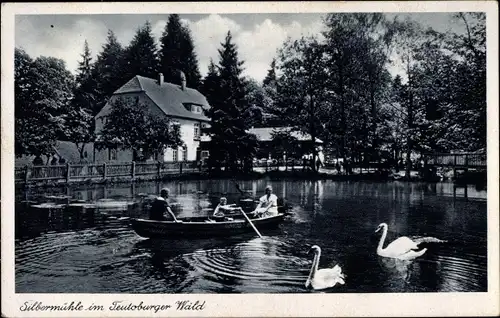 Ak Leopoldstal Horn Bad Meinberg, Gasthaus Silbermühle, Bootspartie, Schwäne