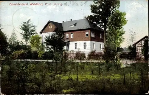 Ak Walddorf Trünzig Langenbernsdorf bei Werdau, Oberförstrei