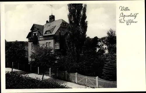 Ak Bad Elster im Vogtland, Villa Agnesruh