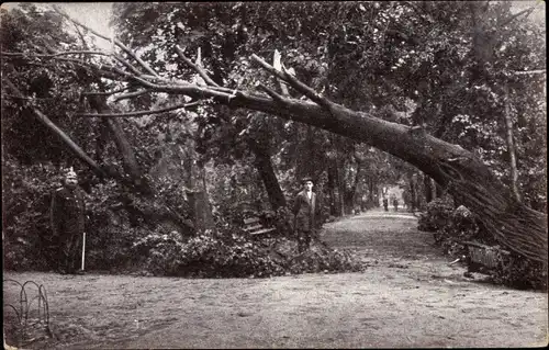 Ak Chemnitz in Sachsen, Am Schloßteich, Sturmkatastrophe 1916