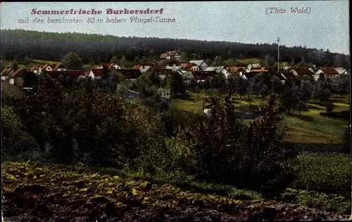 Ak Burkersdorf bei Bad Blankenburg in Thüringen, Panorama mit Pfingsttanne