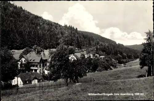 Ak Wildenthal Eibenstock im Erzgebirge, Auersberg, Teilansicht