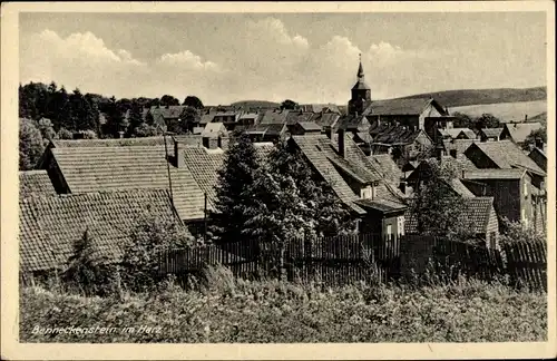 Ak Benneckenstein Oberharz, Panorama vom Ort