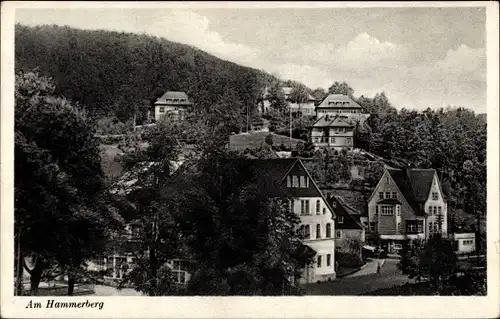 Ak Oberschlema im Erzgebirge, Partie am Hammerberg