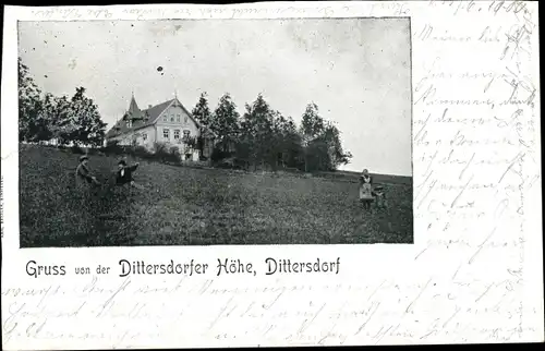 Ak Dittersdorf im Erzgebirge, Dittersdorfer Höhe