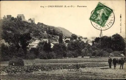 Ak Chevreuse Yvelines, Panorama