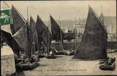 Ak Honfleur Calvados, La Petite Flottille des Pecheurs de Crevettes