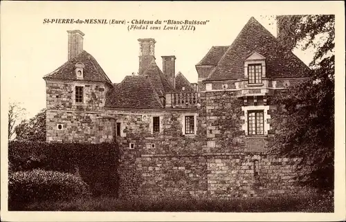 Ak Saint Pierre du Mesnil Eure, Chateau du Blanc Buissen