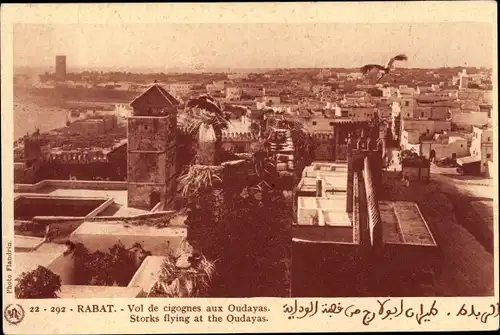 Ak Rabat Marokko, Vol de cigognes au Oudayas