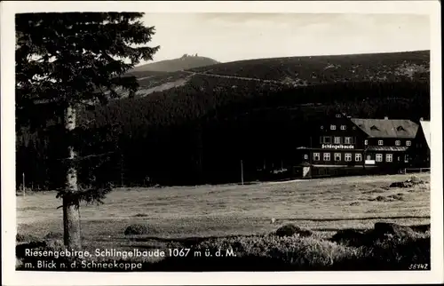 Ak Karpacz Krummhübel Riesengebirge Schlesien, Schlingelbaude, Schronisko na Starej Polanie