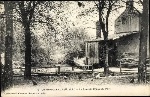 Ak Champtoceaux Maine-et-Loire, Le Chemin Creux du Port