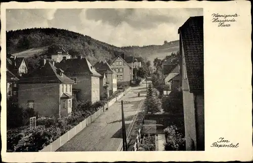 Ak Wernigerode am Harz, Partie im Papental