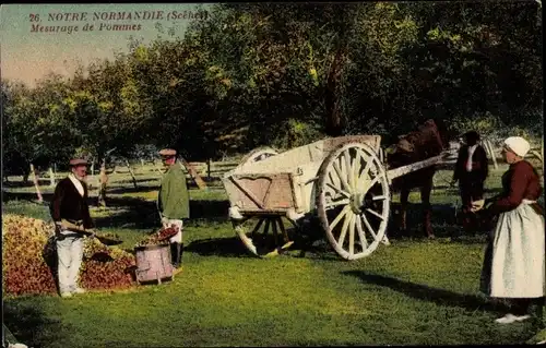 Ak Notre Normandie, Mesurage de Pommes