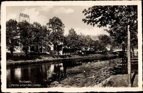 Ak Roßwein in Sachsen, Partie unter den Linden, Astoria