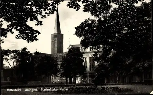 Ak Bitterfeld in Sachsen Anhalt, Anlagen, Katholische Kirche