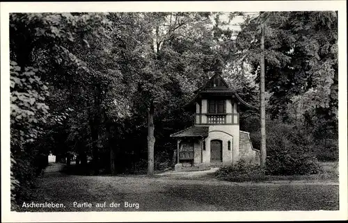 Ak Aschersleben im Salzlandkreis, Partie auf der Burg