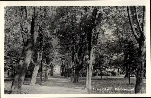 Ak Aschersleben im Salzlandkreis, Thälmannpark