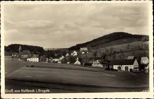 Ak Hallbach Olbernhau im Erzgebirge Sachsen, Gesamtansicht