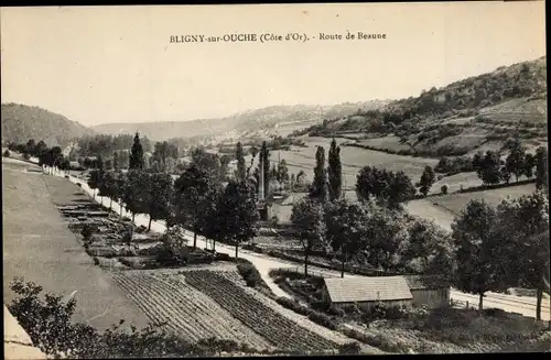 Ak Bligny-sur-Ouche Côte-d’Or, Route de Beaune