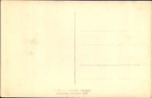 Ak Weissbach Landkreis Saalfeld-Rudolstadt  Holzland Kreis, Panorama