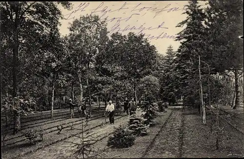 Ak Grignon Yvelines, Ecole Nationale d'Agriculture de Grignon, Jardin