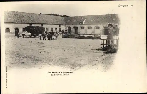 Ak Grignon Yvelines, Ecole Nationale d'Agriculture de Grignon, La Cour de Ferme, Rinder