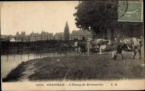 Ak Chaville Hauts de Seine, L'Etang de Brisemiche
