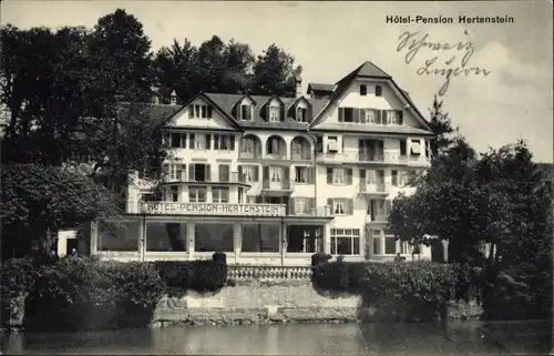 Ak Hertenstein Weggis Kanton Luzern, Hotel, Pension