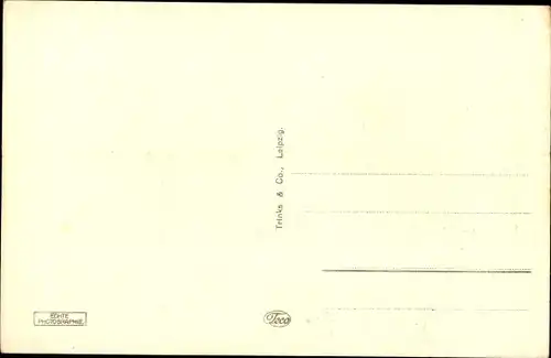 Ak Zwickau in Sachsen, Hauptmarkt