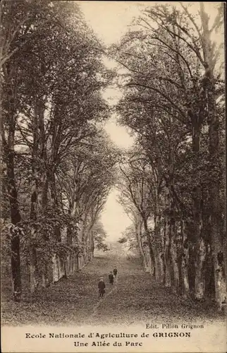 Ak Thiverval Grignon Yvelines, Ecole Nationale d'Agriculture, Une Allee du Parc
