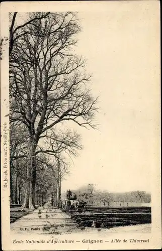Ak Thiverval Grignon Yvelines, Ecole Nationale d'Agriculture, Allee de Thiverval