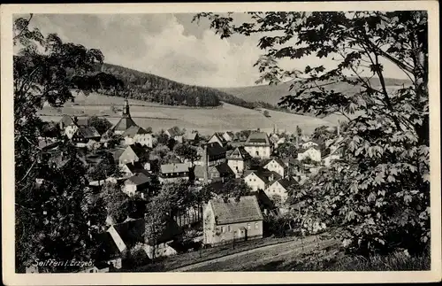 Ak Seiffen im Erzgebirge, Teilansicht