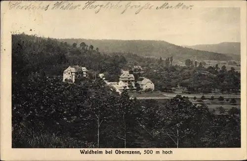 Ak Waldheim bei Obernzenn