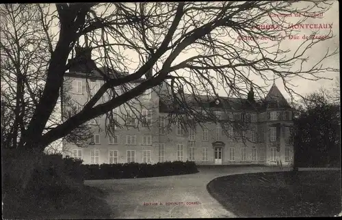 Ak Coudray Montceaux Essonne, Le Chateau de M le Duc de Reggio