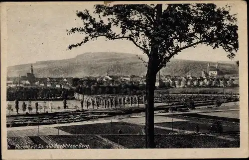 Ak Rochlitz an der Mulde, Teilansicht mit Rochlitzer Berg, Felder