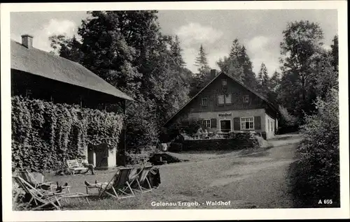 Ak Gelenau im Erzgebirge, Waldhof