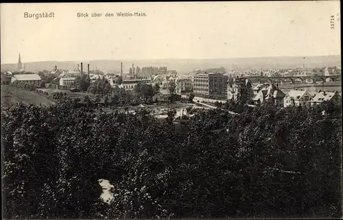 Ak Burgstädt in Sachsen, Blick über den Wettin Hain zur Stadt