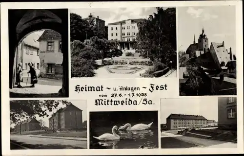 Ak Mittweida Sachsen, Heimat und Anlagen Fest 1958, Schwäne