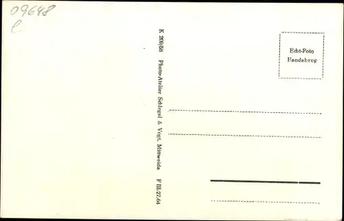 Ak Mittweida Sachsen, Heimat und Anlagen Fest 1958, Schwäne