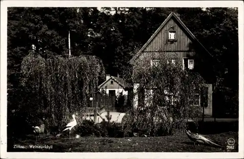 Ak Zittau in Sachsen, Idyll im Weinaupark