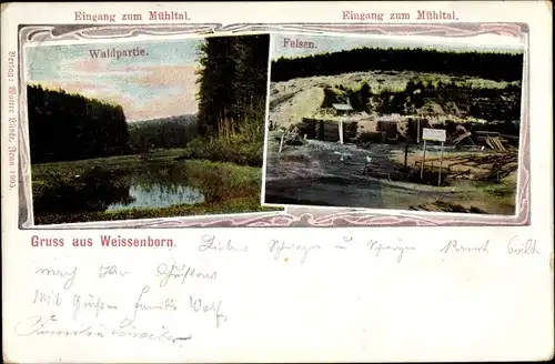 Ak Weißenborn Holzland Thüringen, Mühltal, Waldpartie, Felsen